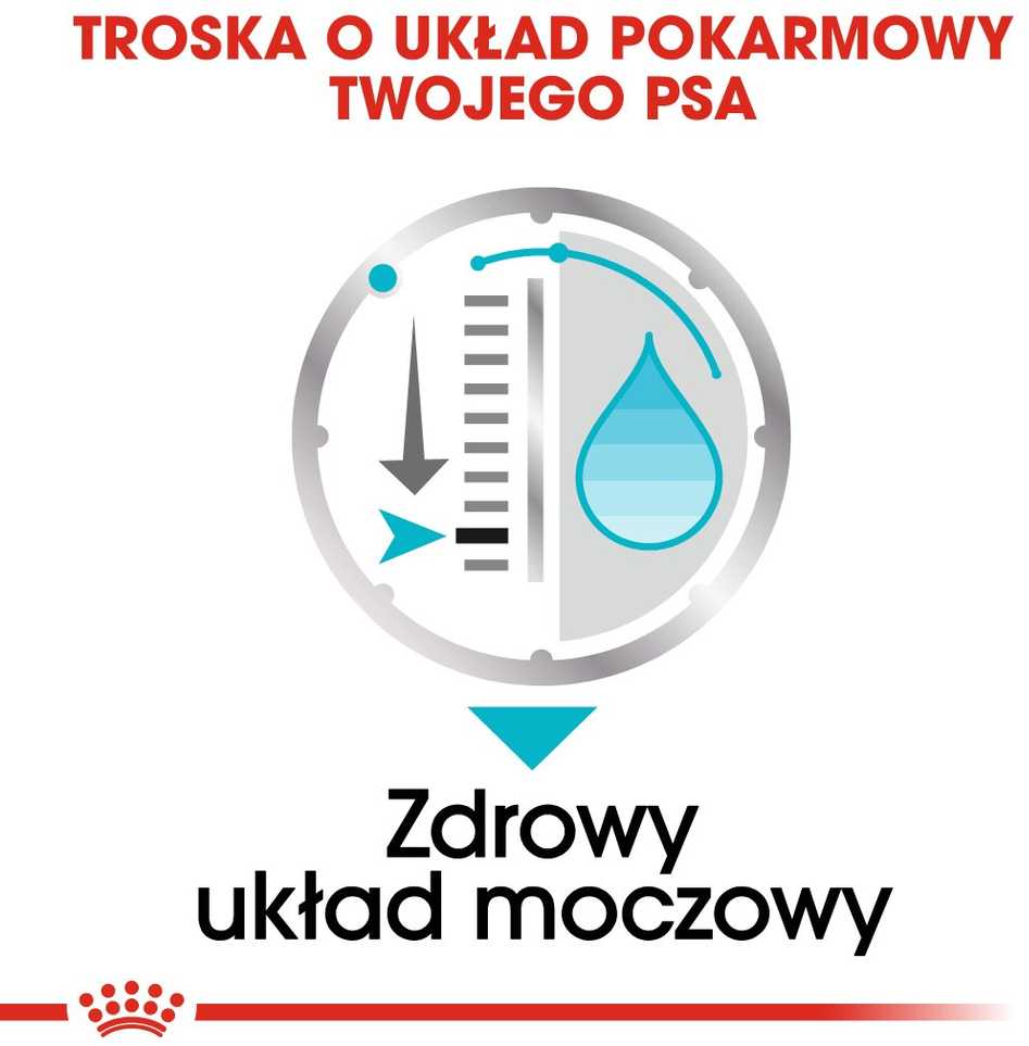 Drėgnas Šunų Maistas - Royal Canin CCN Urinary Care Loaf 12x85g