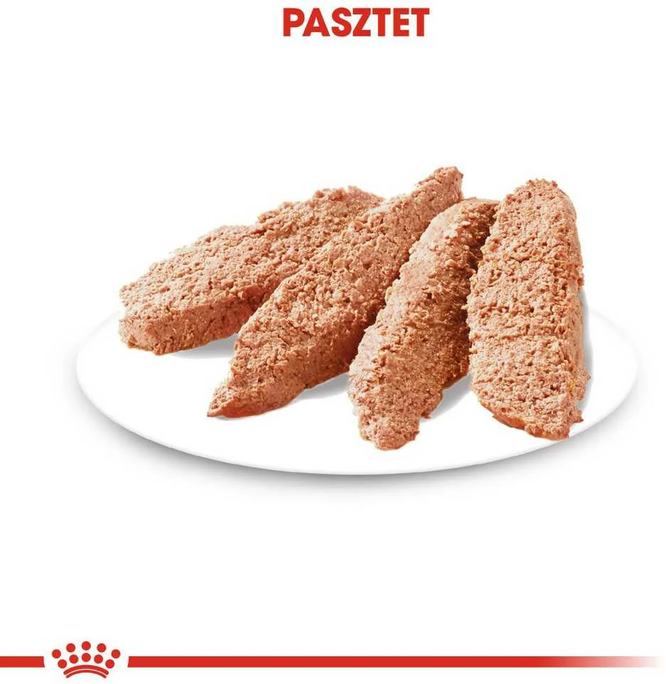 Royal Canin CCN Dog Dermacomfort Loaf 12x85 g