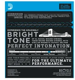 Stygos elektrinei gitarai D'Addario EXL110 .010