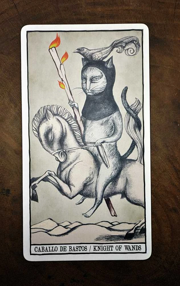 Fournier Tarot Cats Kortos