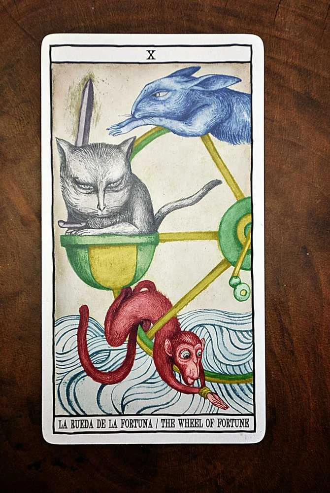Fournier Tarot Cats Kortos