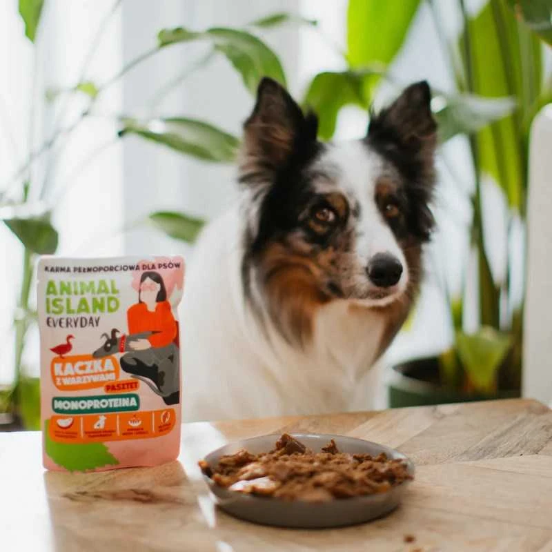 ANIMAL ISLAND Everyday Monoprotein antiena – drėgnas ėdalas šunims – 300g