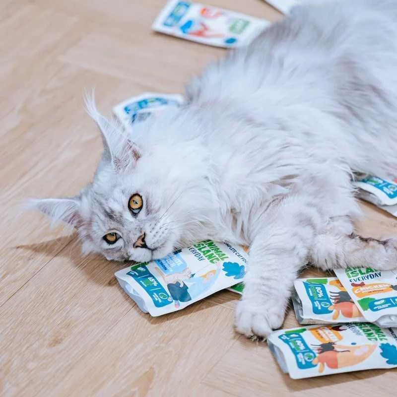Gyvūnų maistas - ANIMAL ISLAND su balta žuvimi in Broth Wet Cat Food 40x85g