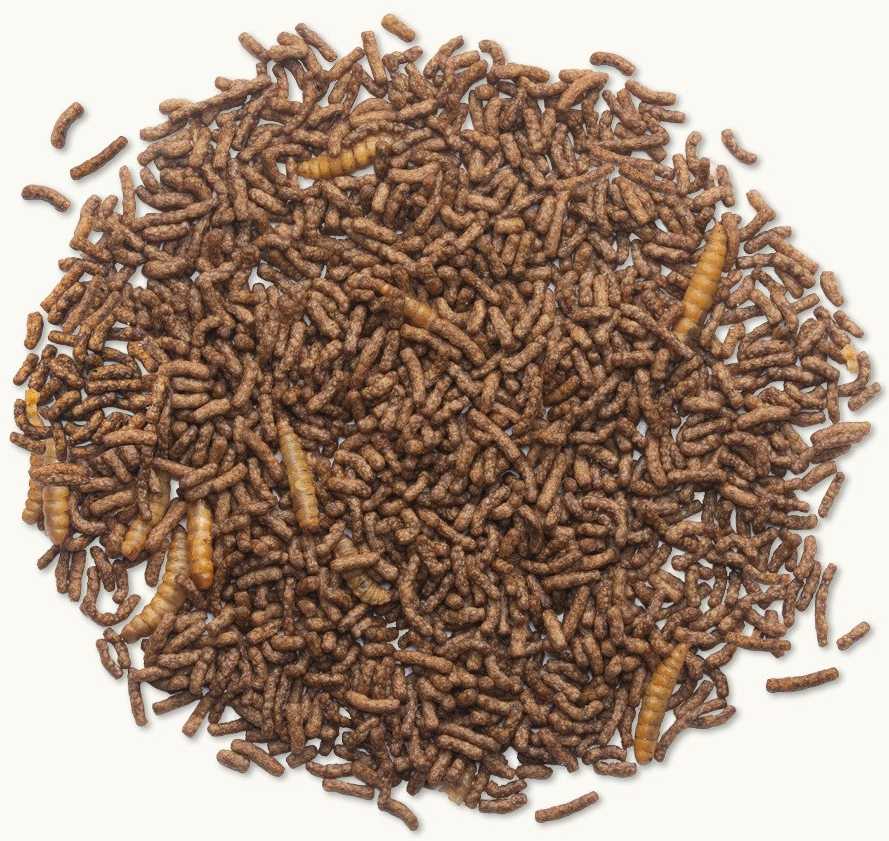 Gyvūnų Maistas - Beaphar Kompletinė Karma Ežiams 1kg