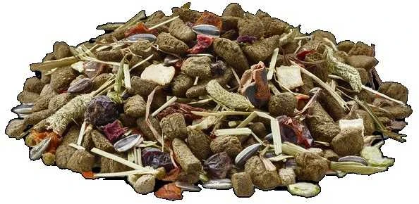 VERSELE-LAGA Nature Chinchilla – pašaras šinšiloms – 2,3kg