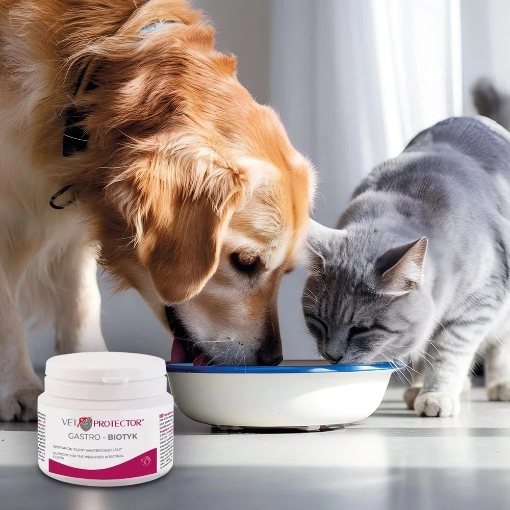 JM SANTE Vet Protector Gastro - Biotyk - multibiotikas šunims ir katėms – 60 g