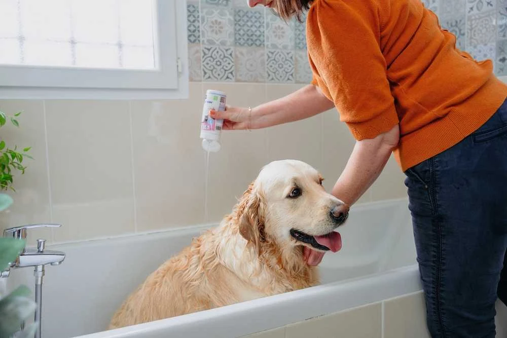 VIRBAC Allerderm sensitive skin - Šampūnas for dogs and cats - 250 ml