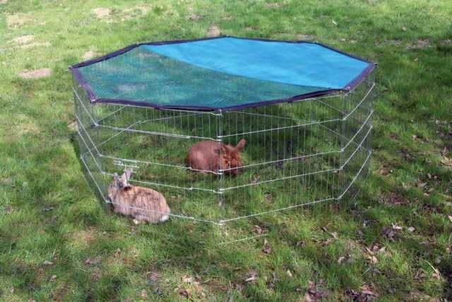 KERBL Modular Run Rabbit, šunų aptvaras su durelėmis – 8 elementai 57x56 cm su dangteliu