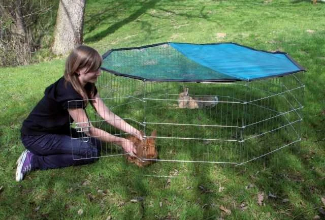 KERBL Modular Run Rabbit, šunų aptvaras su durelėmis – 8 elementai 57x56 cm su dangteliu