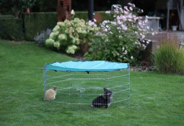 KERBL Modular Run Rabbit, šunų aptvaras su durelėmis – 8 elementai 57x56 cm su dangteliu