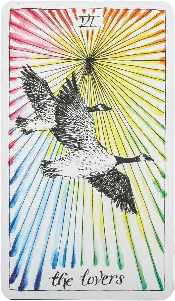 Harper One The Wild Unknown Tarot Kortos