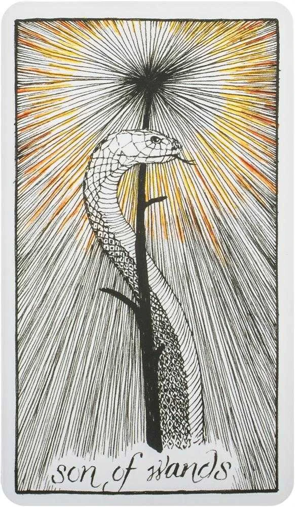 Harper One The Wild Unknown Tarot Kortos
