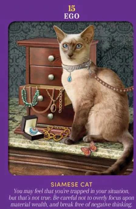 Hay House Animal Guides Tarot Kortos