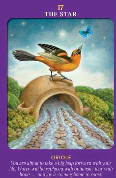 Hay House Animal Guides Tarot Kortos