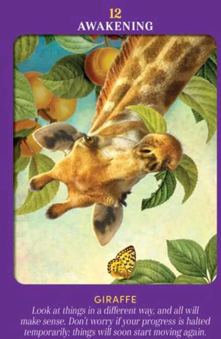 Hay House Animal Guides Tarot Kortos