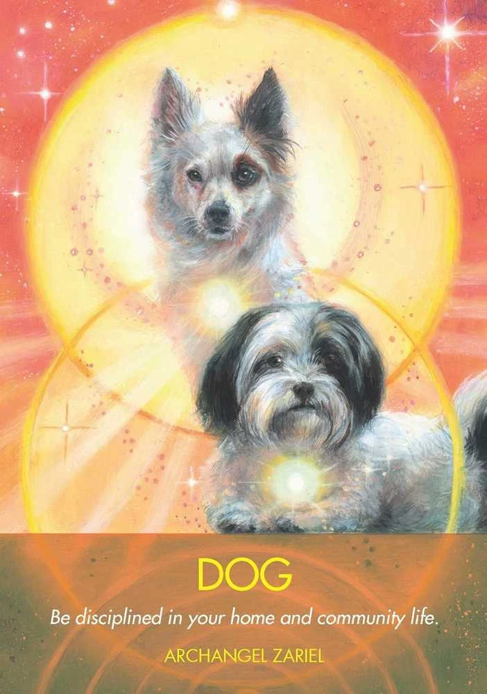 Hay House Archangel Animal Oracle Kortos