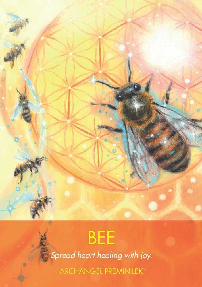 Hay House Archangel Animal Oracle Kortos