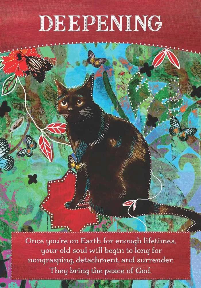 Hay House Divine Abundance Oracle Kortos