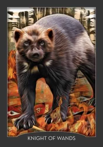 Hay House Guardian Of The Night Tarot Kortos