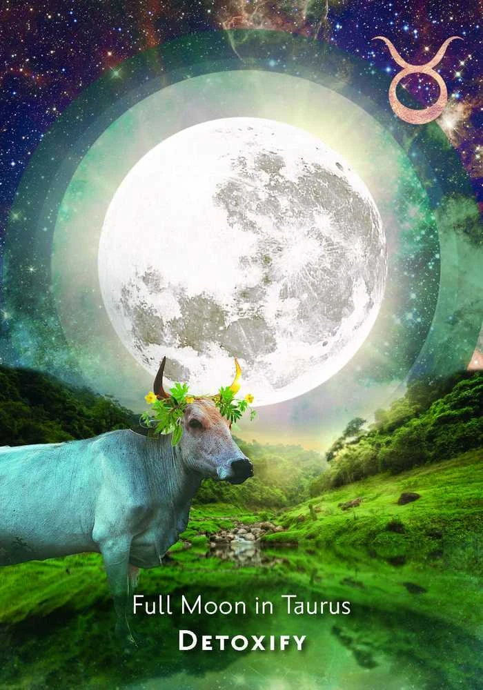 Hay House Moonology Manifestation Oracle Kortos