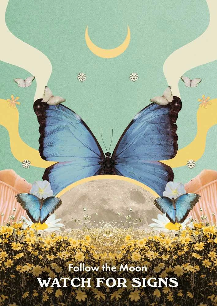 Hay House Moonology Messages Oracle Kortos