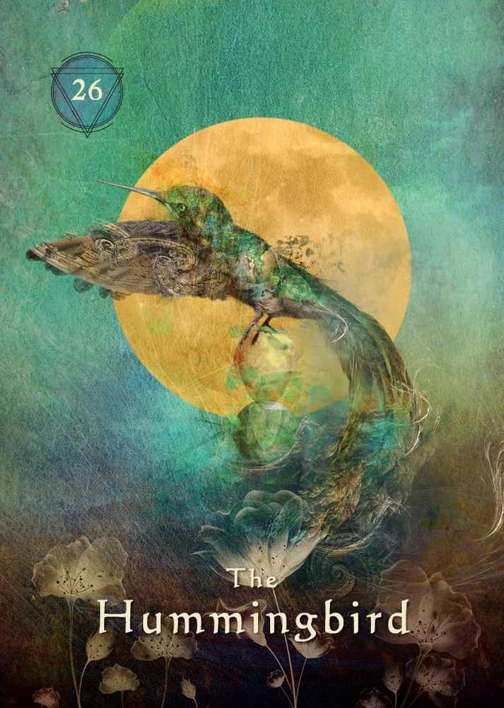 Hay House Mystical Shaman Pocket Oracle Kortos Dėžutėje
