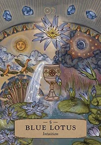 Herbal Astrology Oracle kortos Hay House
