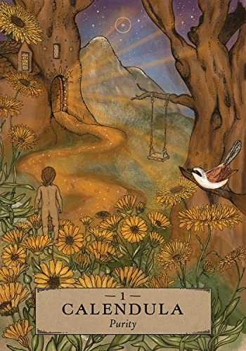 Herbal Astrology Oracle kortos Hay House