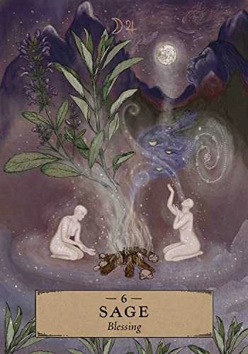 Herbal Astrology Oracle kortos Hay House