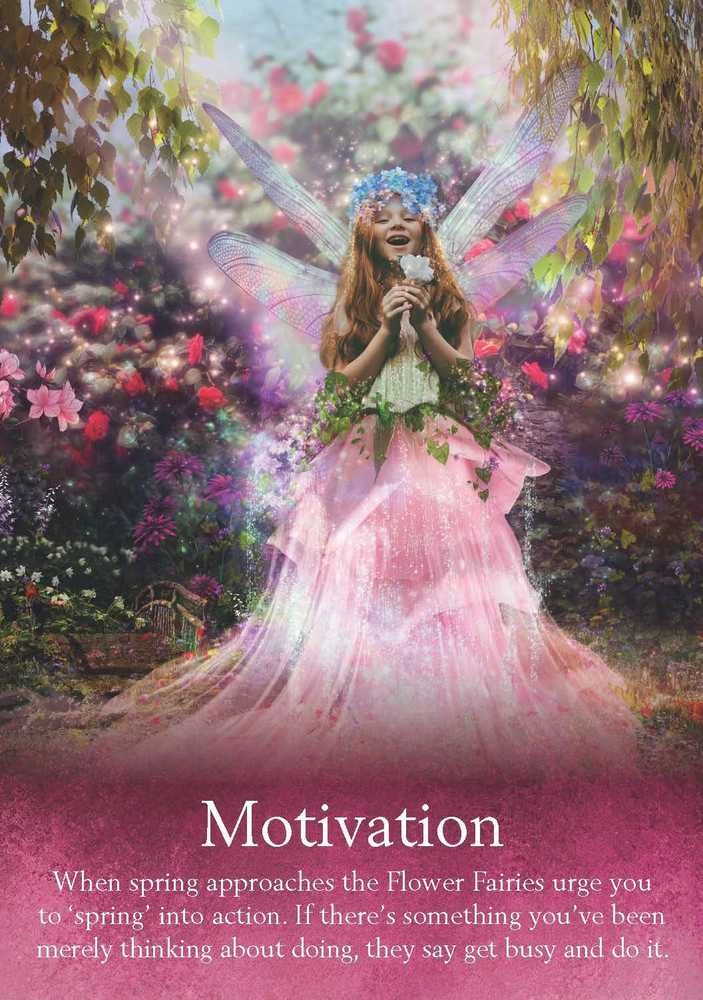 Hay House Oracle Of The Fairies Kortos