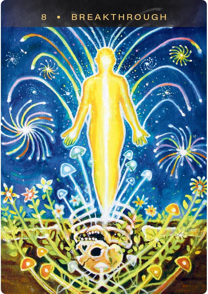 Hay House Sacred Mushroom Oracle šamaninės orakulo kortos anglų kalba