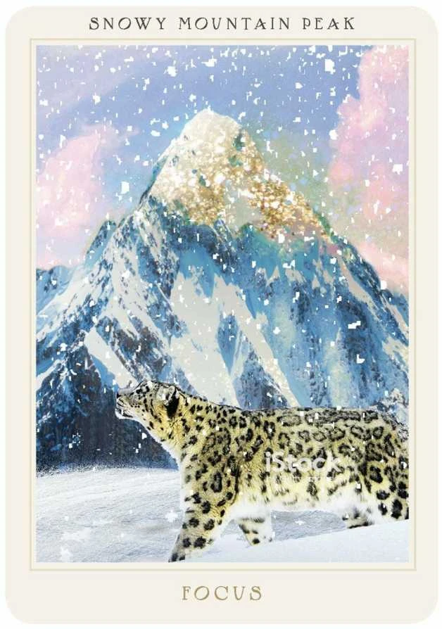 KNYGA Hay House Sacred Destiny Oracle Kortos