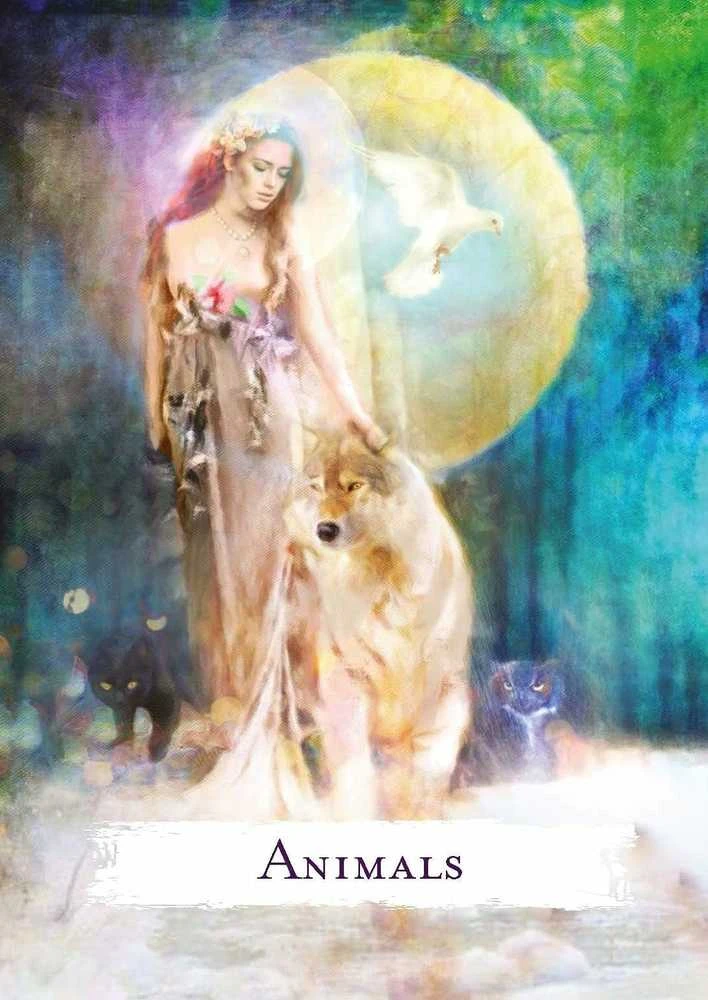 Hay House Spellcasting Oracle Kortos