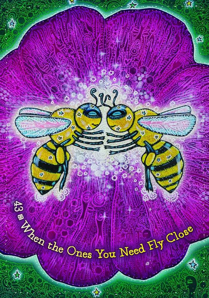 Hay House The Dream Weaver's Oracle Kortos