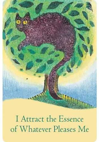 Hay House The Law Of Attraction Kortos
