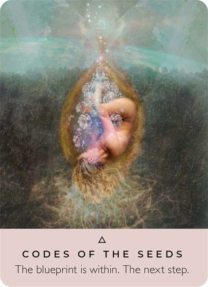 Hay House The Rose Pocket Oracle Kortos