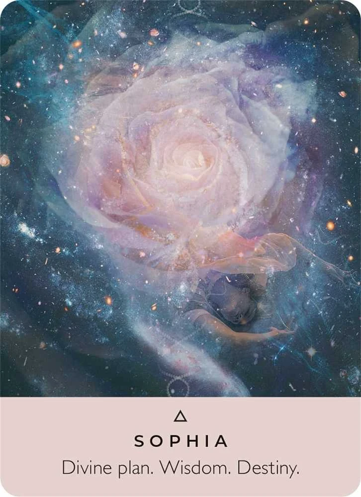 Hay House The Rose Pocket Oracle Kortos