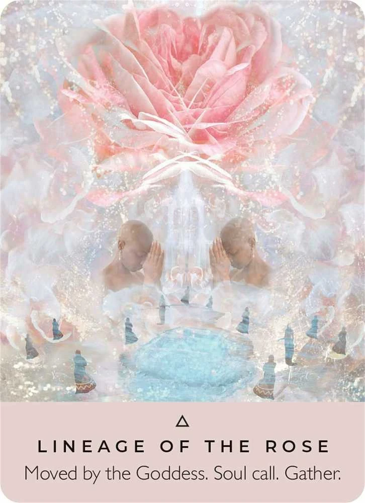 Hay House The Rose Pocket Oracle Kortos