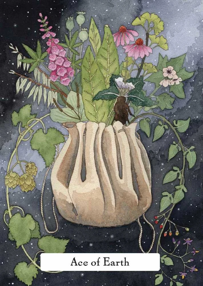 Hay House The Witches Wisdom Taro Kortos (Standartinis Leidimas)