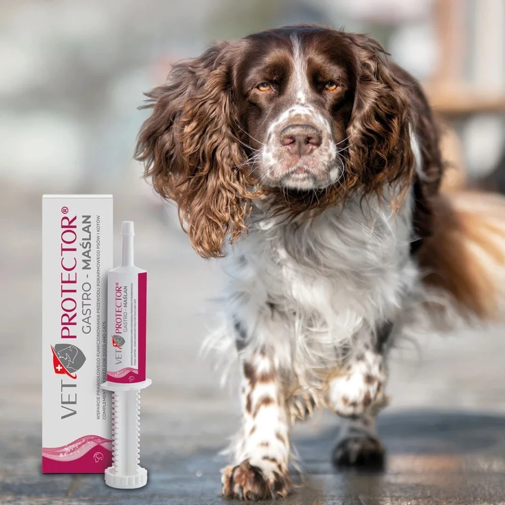 VET PROTECTOR Gastro Butyrate - papildai šunims ir katėms - 60 ml