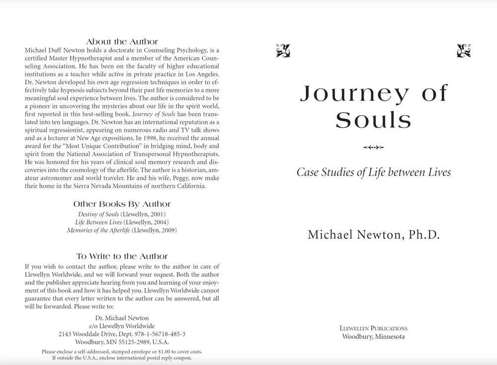 Journey Of Souls Knyga Llewellyn