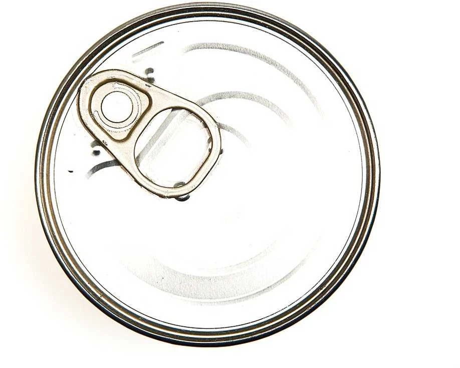 3COTY vištiena su žąsimi - šlapias kačių ėdalas - 80g