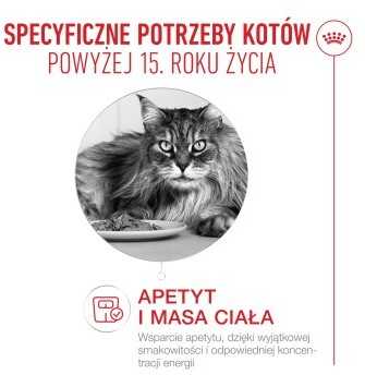 Kačių Maistas - Royal Canin Ageing 15+ Gabaliukai padaže 12x85g