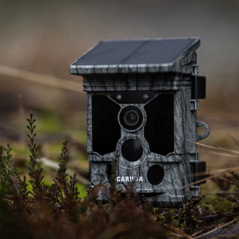Kameros - Caruba Wildcamera Raccoon Solar 4K, 46MP, WiFi, 32GB