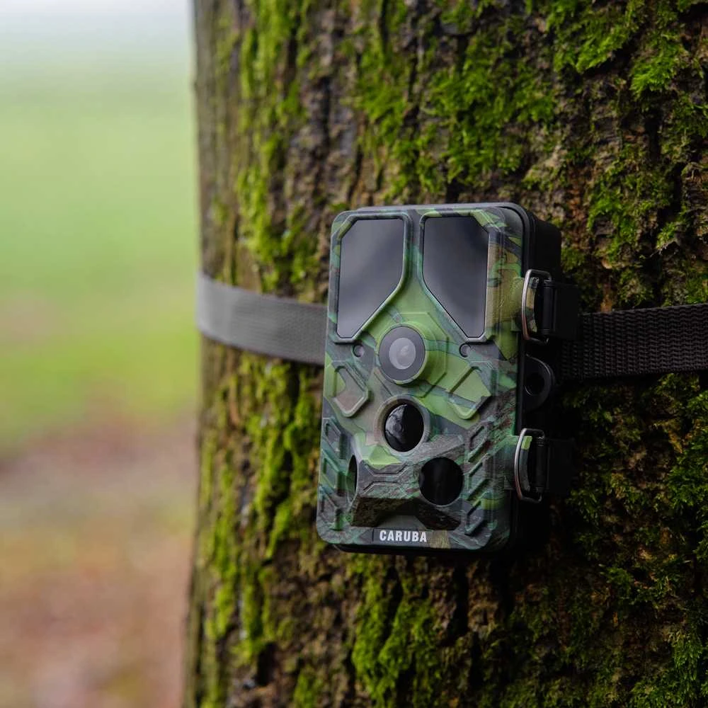 Kameros - Caruba Wildcamera Toad Full HD 24MP Night Vision WiFi Juodas