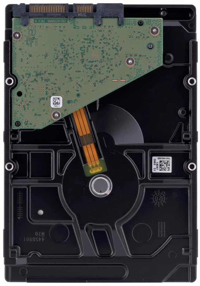„SEAGATE“ HDD „SkyHawk Surveillance“ (3,5 colio/6 TB/SATA 6 Gb/s/rpm 5400)