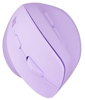 NATEC Crake 2 pelė Universal dešinei rankai RF belaidė + Bluetooth Optinė 2400 DPI