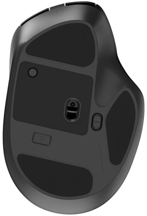 Gembird MUSW2-6B-02 Dual-mode belaidė pelė (2.4G + BT), 2400 DPI, 6-button, juodas