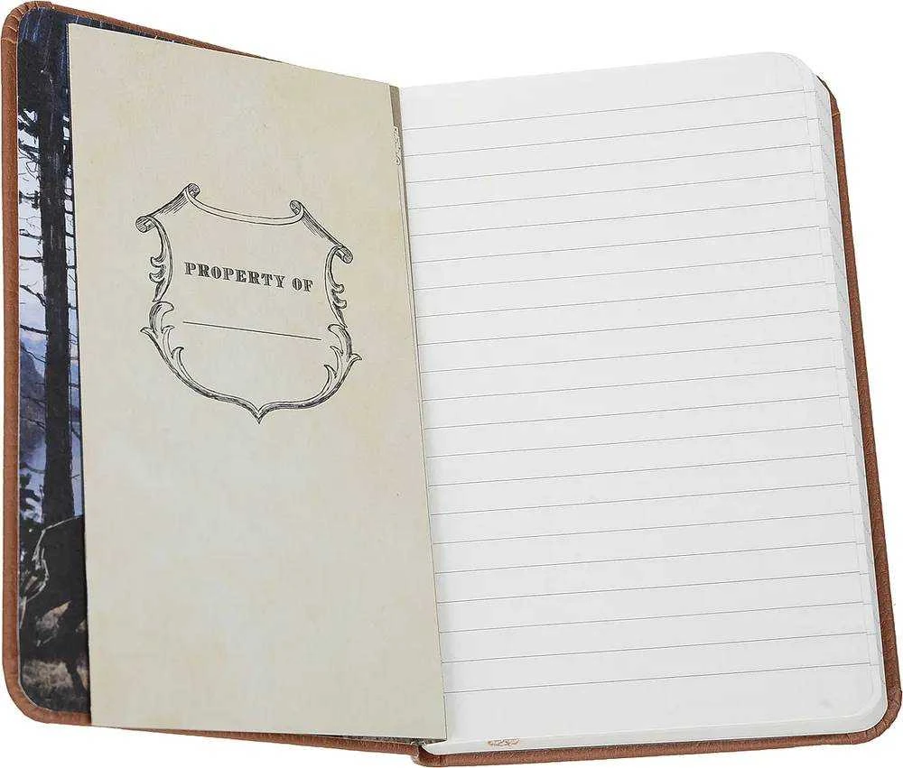Kišeninė Užrašinė - Harry Potter: Hogwarts Insight Editions