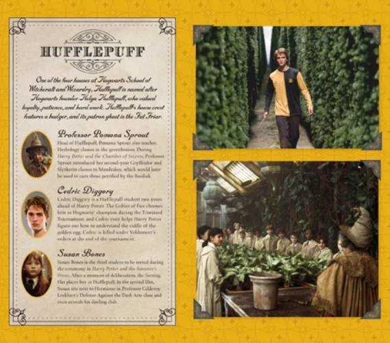 Kišeninė Užrašinė - Harry Potter: Hufflepuff Insight Editions